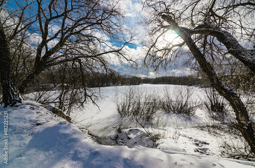 winter landscape with trees and snow © Юрий Скляров