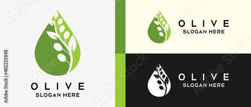 olive logo design template with creative concept in drip. premium olive logo illustration vector