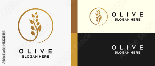 olive logo design template with silhouette in circle simple and luxury. premium olive logo illustration vector