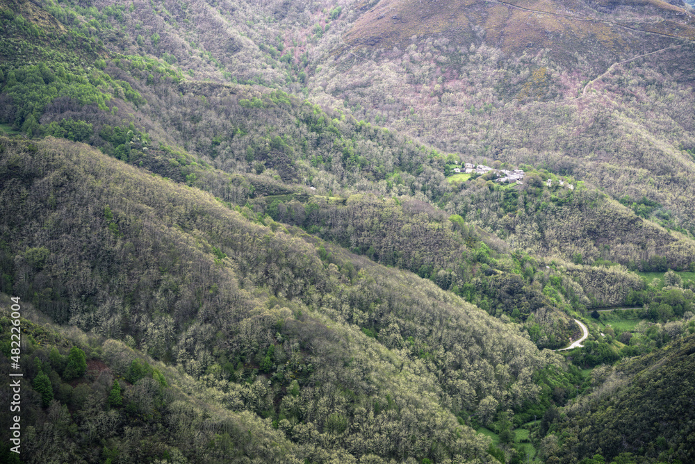 Deciduous native forests cover hills and valleys around a village Deciduous native forests cover hills and valleys around a village