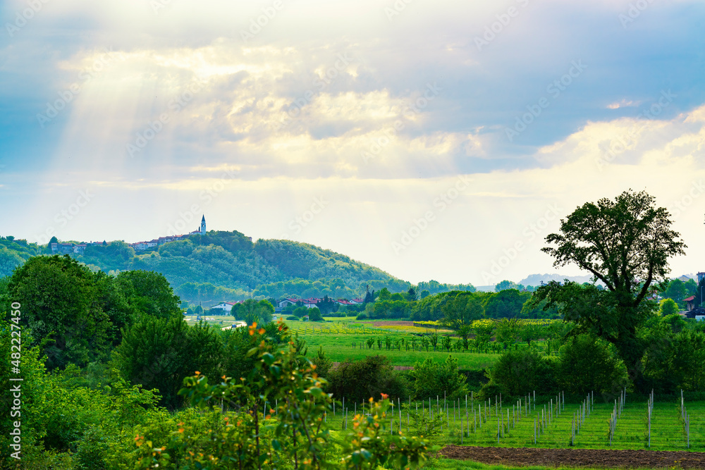 Naklejka premium Gorgeous sunset in Vipava valley, Slovenia.