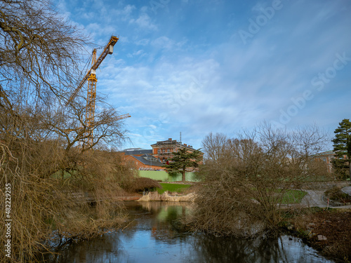 Botanical garden and crane photo