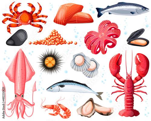 Sea food on white background. Crab, lobster, salmon, mackerel, squid, caviar, mussels, shrimps, scallop, sea urchin, shells with pearls, scomber, mackerel. Marine, ocean animals. Vector illustration