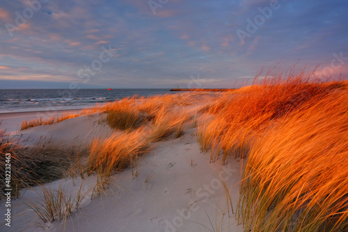 Fototapeta Naklejka Na Ścianę i Meble -  Wydmy na wybrzeżu Morza Bałtyckiego, w świetle zachodzącego słońca