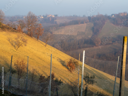 Sunset at Bacedasco in Arda Valley, Castell'Arquato, Piacenza, Emilia Romagna, Italy photo