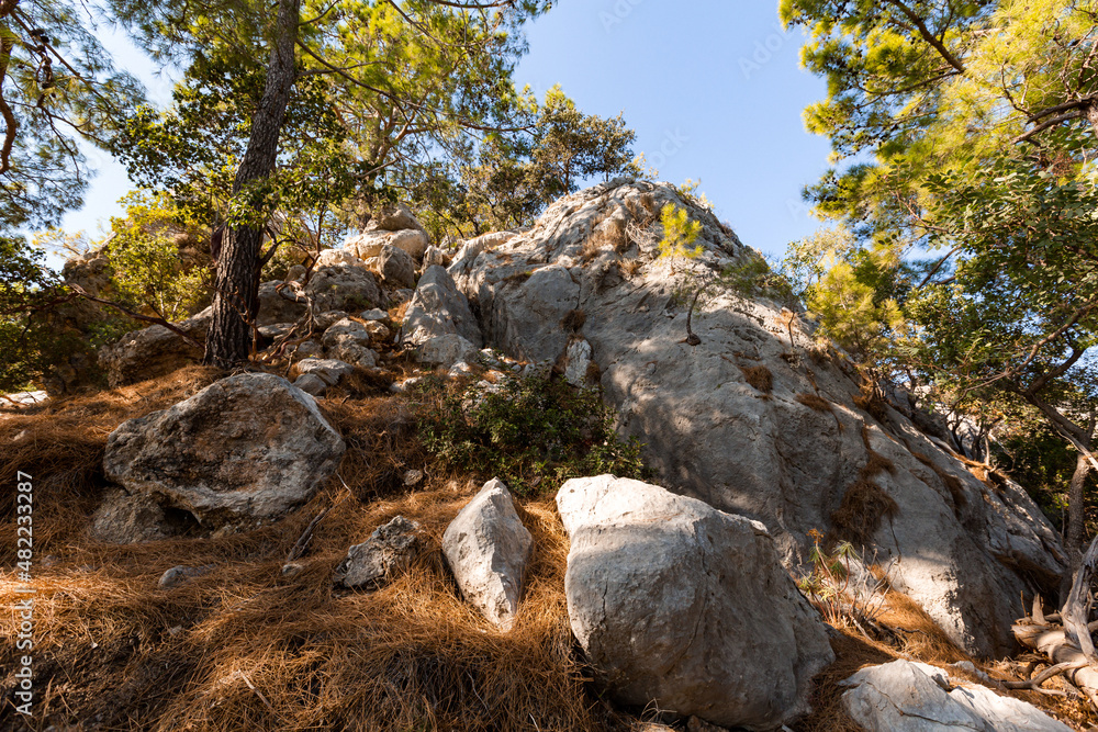 big stones in the summer forest