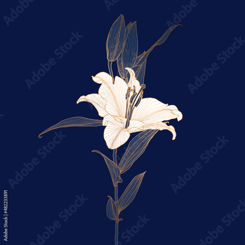 Golden metallic lily flower linear drawing with white flower head on deep blue. Design for print, poster, cover, banner, fabric, invitation, postcard and packaging.