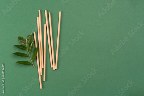 Banner with mockup image of kraft paper drinking straws on green background with copy space and green fresh leaves around. Sustainable lifestyle and zero waste concept. Ethical consumerism