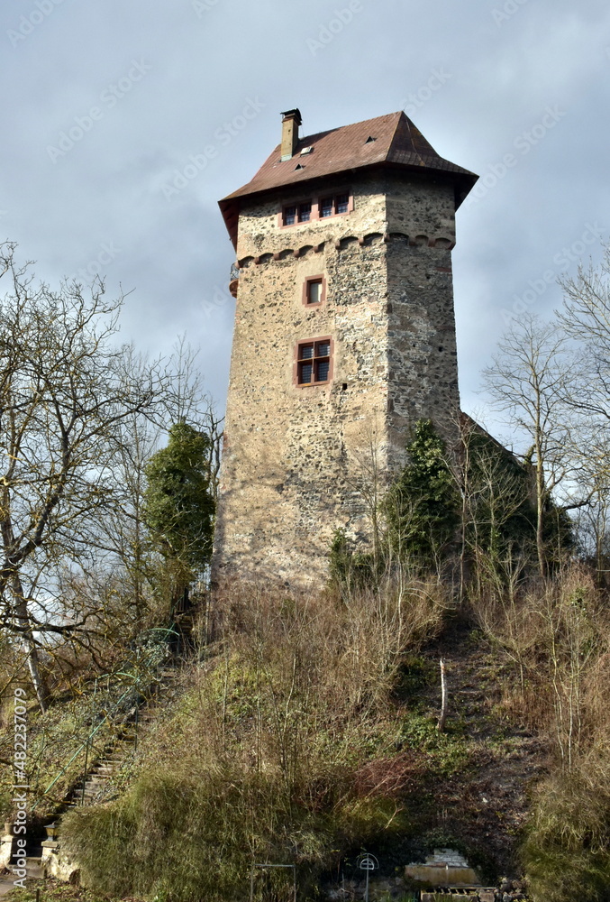 Burg Sponeck an einem sonnigen Wintertag
