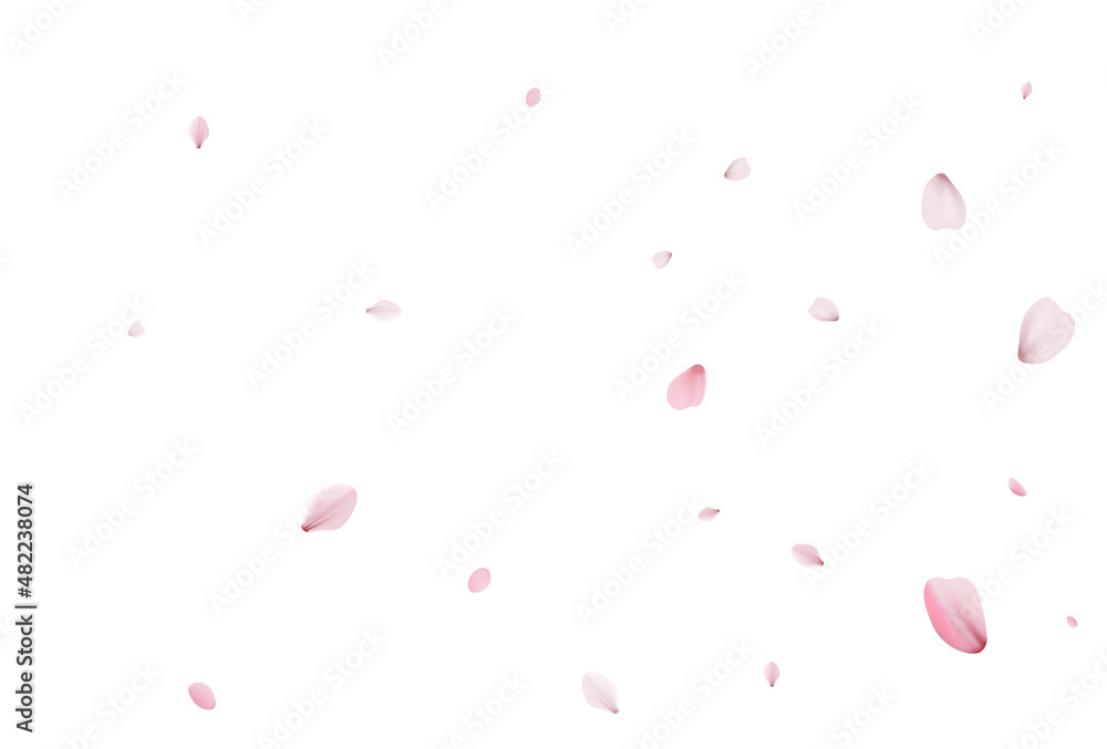 Sakura petals holiday background. Holiday vector