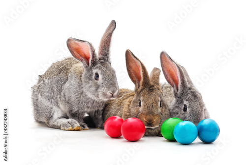 Rabbits and Easter eggs.