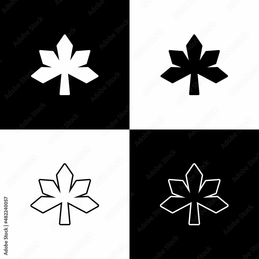 Obraz premium Set Chestnut leaf icon isolated on black and white background. Vector
