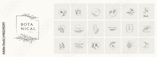 Minimal feminine floral monogram and logo. Hand drawn wedding herb, elegant leaves. Botanical rustic trendy greenery vector
