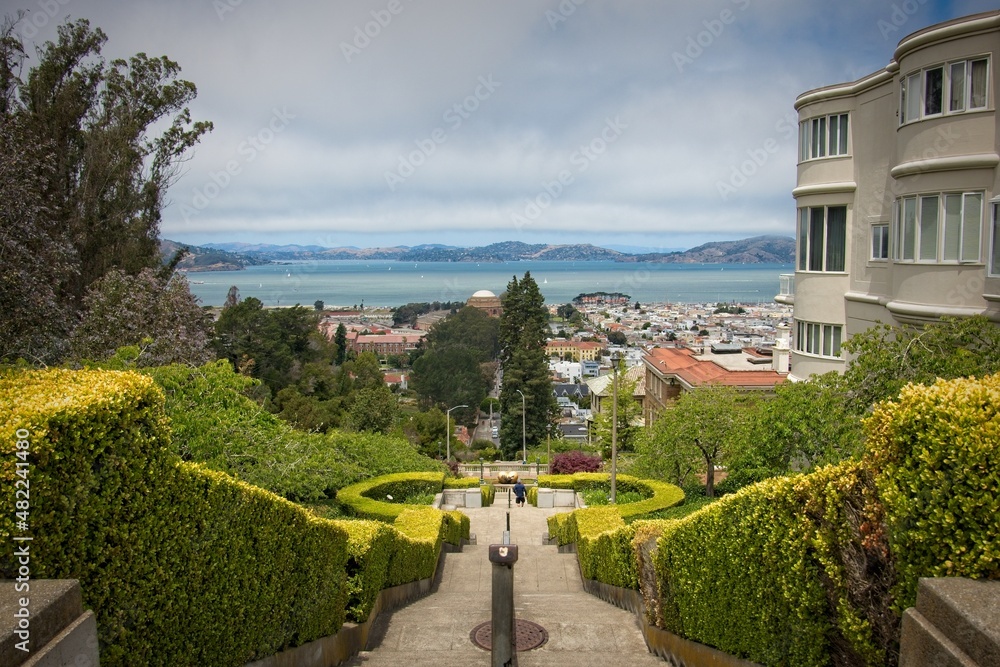 View of San Francisco Bay from top of Lyon Street Steps