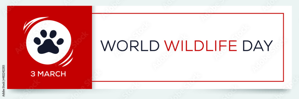 Naklejka premium World Wildlife Day, held on 3 March.