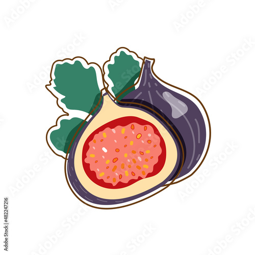 Vector illustration set of figs. The fig in flat style. Illustration of fruit.