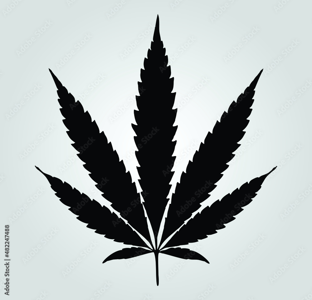 Marijuana leaf vector icon. Cannabis symbol Marijuana leaf vector icon. Cannabis symbol