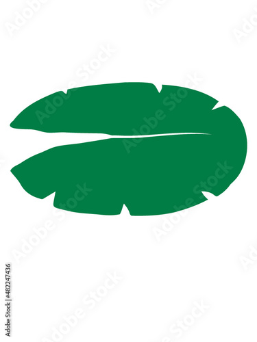 Silhouette Seerose Design 