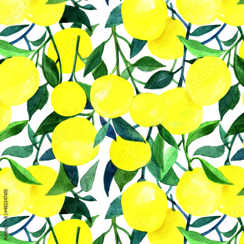 seamless pattern with yellow lemons. White background. watercolor texture