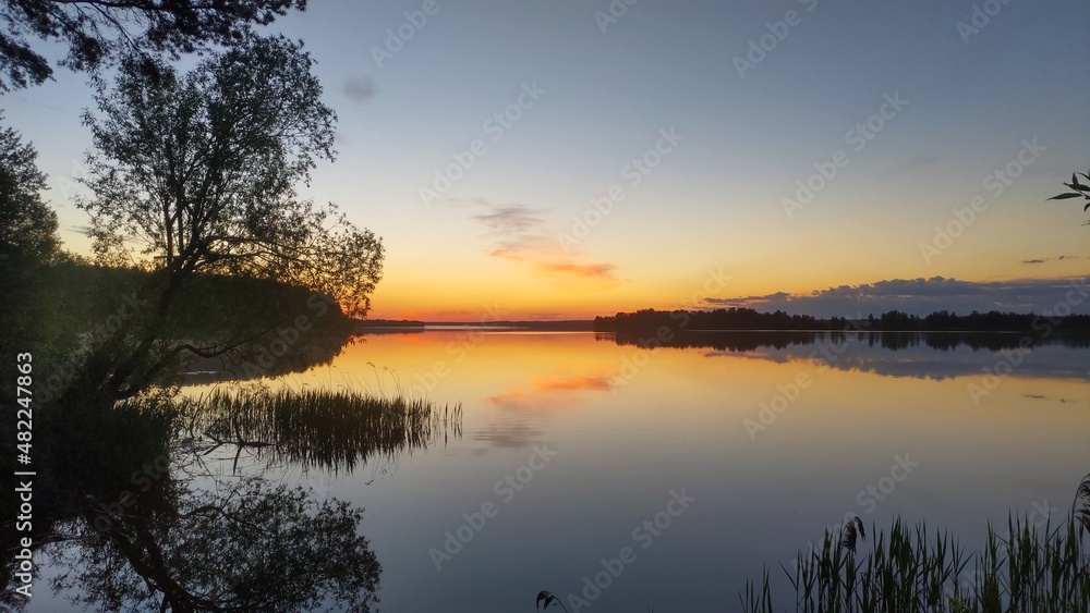 The sun rises over the lake on a spring morning. The shores of the lake are covered with forest, reeds grow in the water Tree branches hang over the water The sky and clouds are reflected in the water