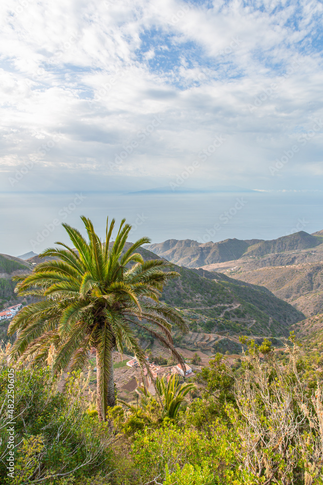 Slender palm tree dominating the caribbean landscape.