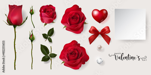 Valentine's day greeting card templates with realistic of beautiful rose and heart on background color.