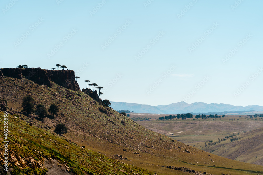 Fototapeta premium view from the hill