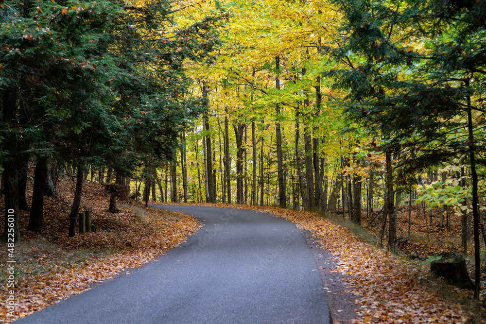 Obraz premium Fall foliage on the trees in Presque Isle Park road in Marquette, Michigan