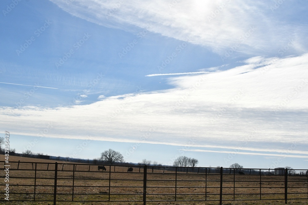 Bright Clouds Over a Farm Field