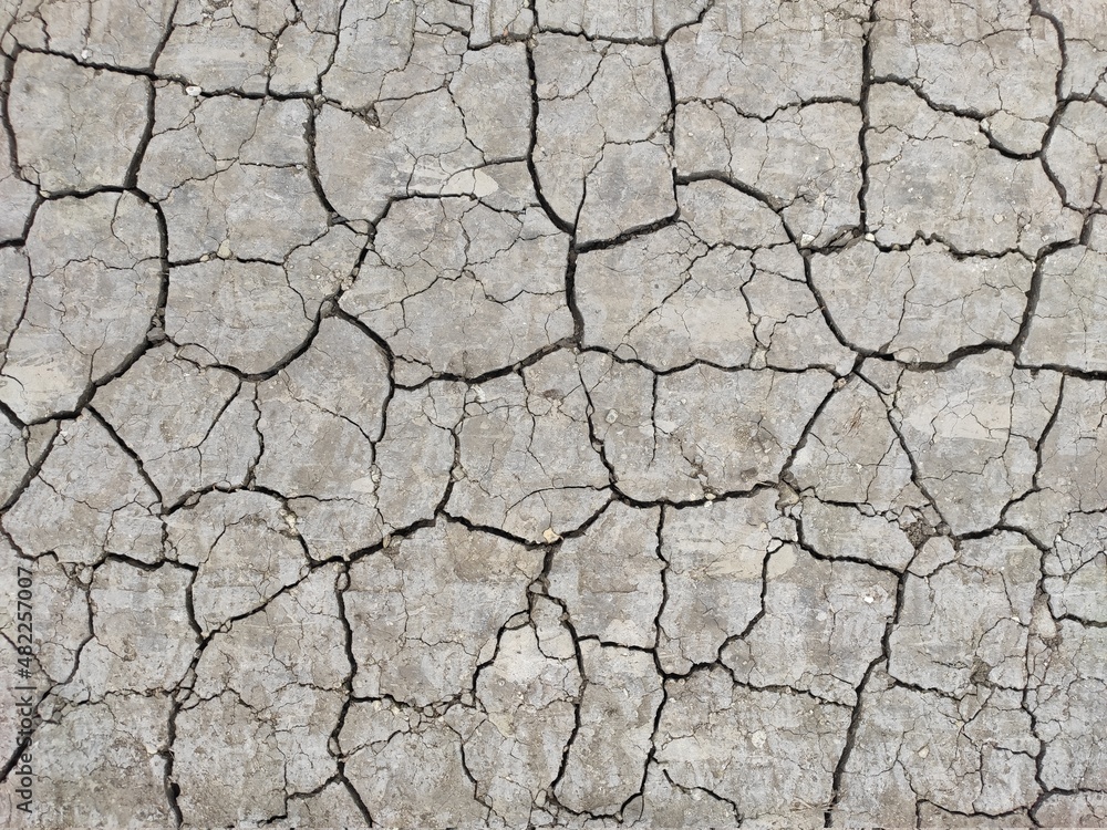 Dry cracked gray ground. Natural background. Chernozem and agriculture in the period of extreme drought. The texture of the desert close up. High quality photo Dry cracked gray ground. Natural background. Chernozem and agriculture in the period of extreme drought. The texture of the desert close up. High quality photo