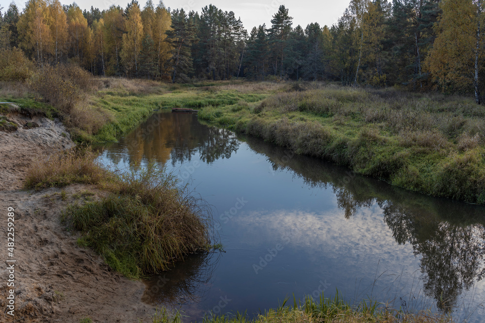 Landscape with a small river in the autumn forest. A river in a fairy forest with bright and rich colors. autumn colors in a dark forest.