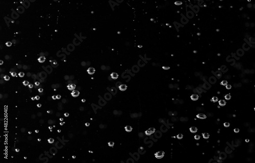 Moving Bubbles on Black Background, Macro Shot