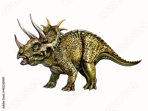 Triceratops  herbivorous dinosaur