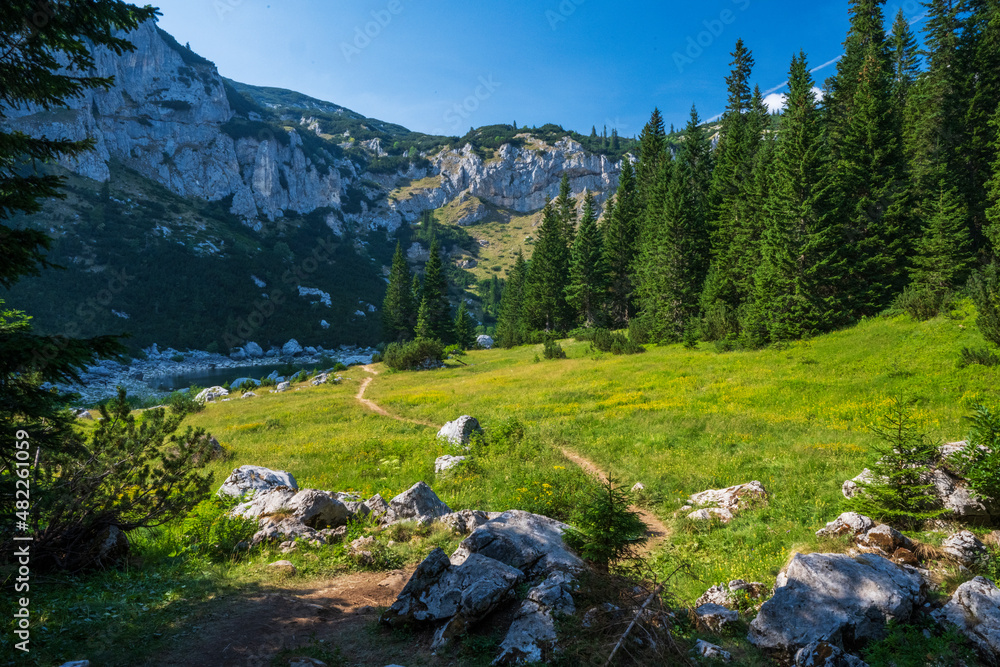 Obraz premium An attractive summer scene on a sunny day. Seasonal background. Discover the beauty of earth. Concept of outdoor recreation and relaxation.