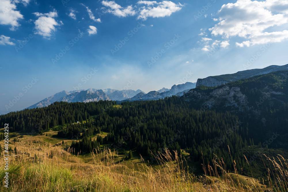 An attractive summer scene on a sunny day. Seasonal background. Discover the beauty of earth. Concept of outdoor recreation and relaxation.