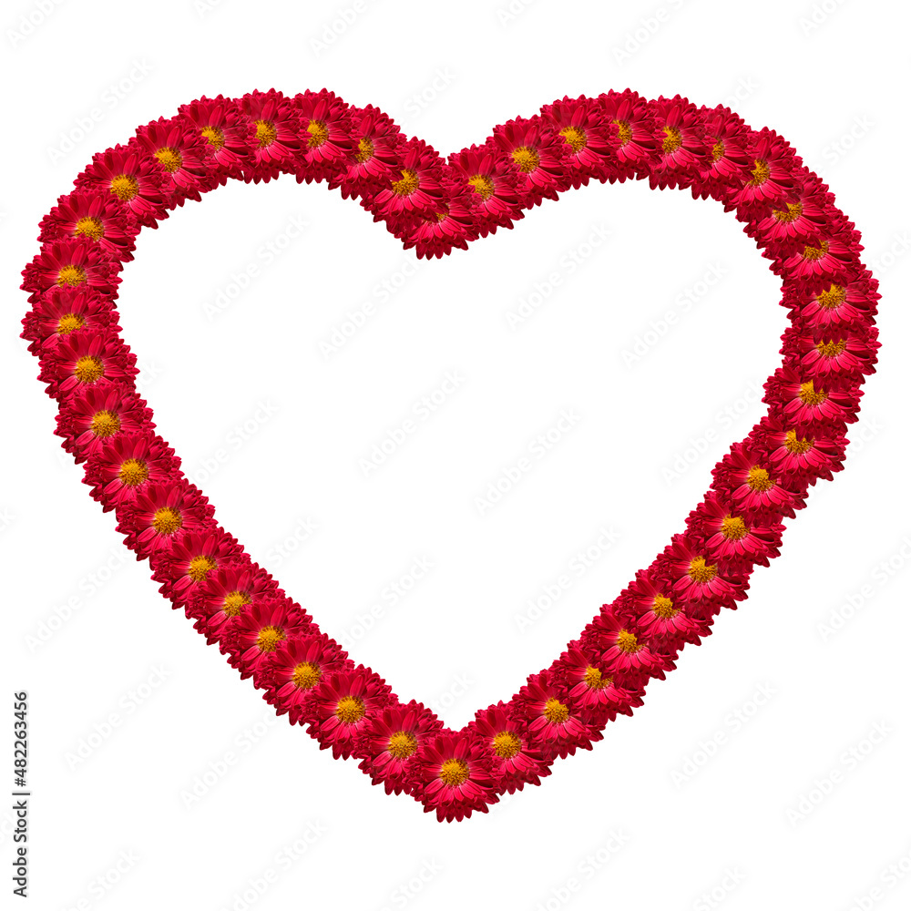 Flower heart. The symbol is a heart of red-maroon chrysanthemum flowers on a white background. The concept of Valentine's Day, Mother's Day, Women's Day. Flat position, top view