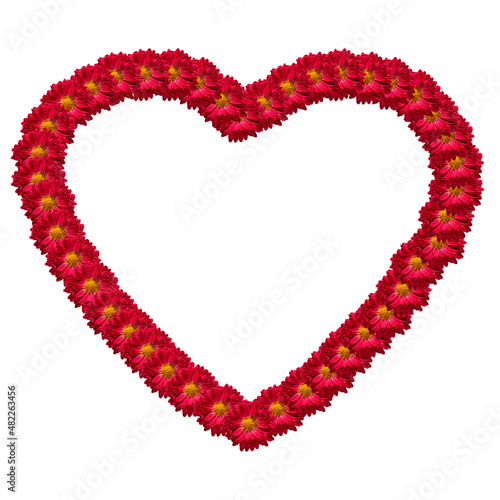 Flower heart. The symbol is a heart of red-maroon chrysanthemum flowers on a white background. The concept of Valentine's Day, Mother's Day, Women's Day. Flat position, top view