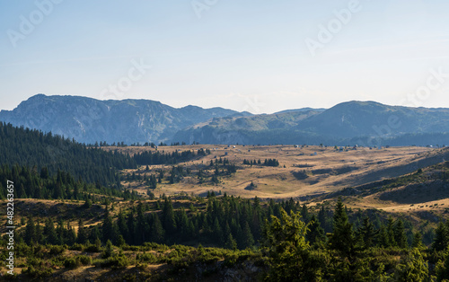 An attractive summer scene on a sunny day. Seasonal background. Discover the beauty of earth. Concept of outdoor recreation and relaxation.