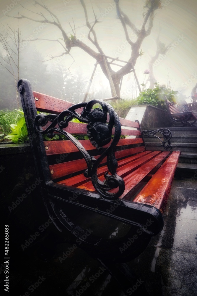 mystical bench in the fog


