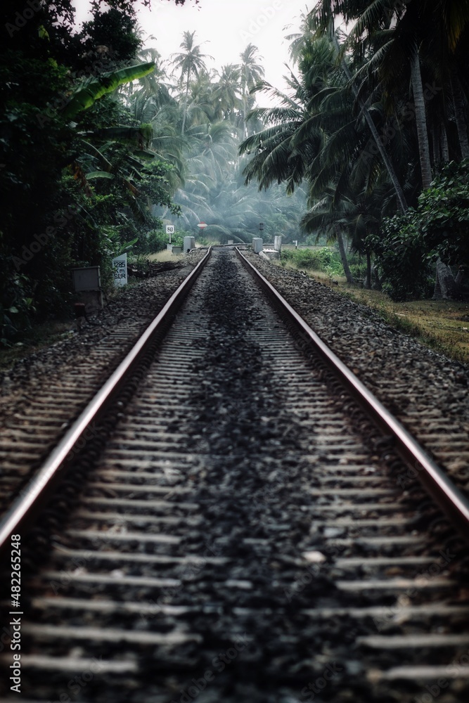 railway in the forest railway in the forest