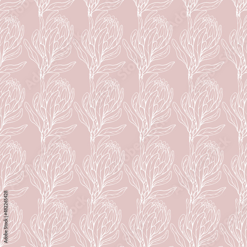 Seamless pattern with flowers of the royal protea.Simple floral background.Vector graphics.