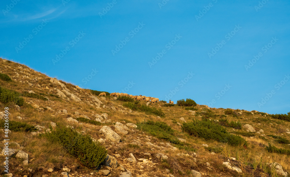 An attractive summer scene on a sunny day. Seasonal background. Discover the beauty of earth. Concept of outdoor recreation and relaxation.