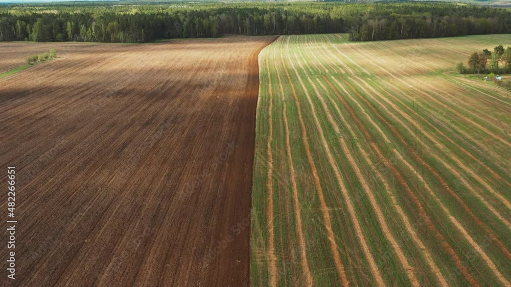 Aerial View Plowed Spring Field Landscape With Trails Lines.Growing Wheat Crop In Springtime.Beginning Of Agricultural Spring Season. Aerial View Plowed Spring Field Landscape With Trails Lines.Growing Wheat Crop In Springtime.Beginning Of Agricultural Spring Season.