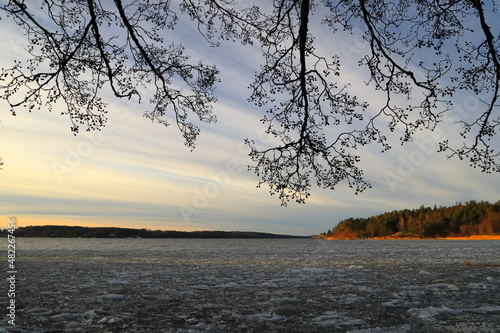 Sea landscape. Dark branches for silouette. One day in January. Mälaren lake, Stockholm, Sweden, Europe.