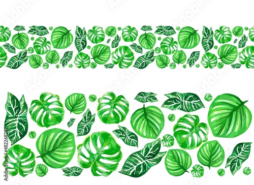 velvet green border of wild tropical leaves, monstera, palm,calathea on white background summer illustration