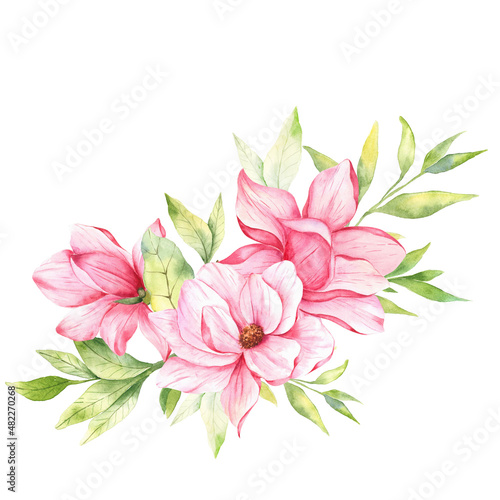 Magnolia Flower Watercolor Illustration  Magnolia Bouquet  Pink Magnolia Branch  Watercolor Floral Illustration isolated on white