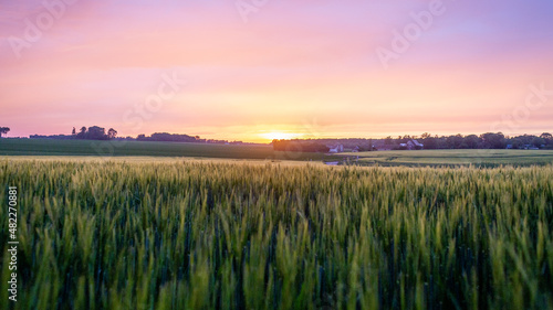 Coucher de soleil sur les champs d orge. Plaine agricole en Normandie.
