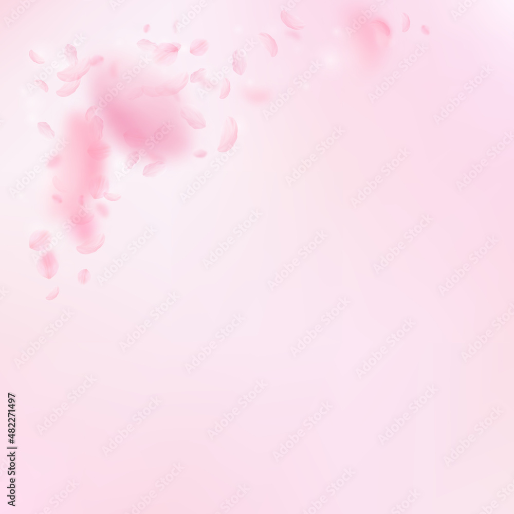Sakura petals falling down. Romantic pink flowers corner. Flying petals on pink square background. Love, romance concept. Creative wedding invitation. Sakura petals falling down. Romantic pink flowers corner. Flying petals on pink square background. Love, romance concept. Creative wedding invitation.