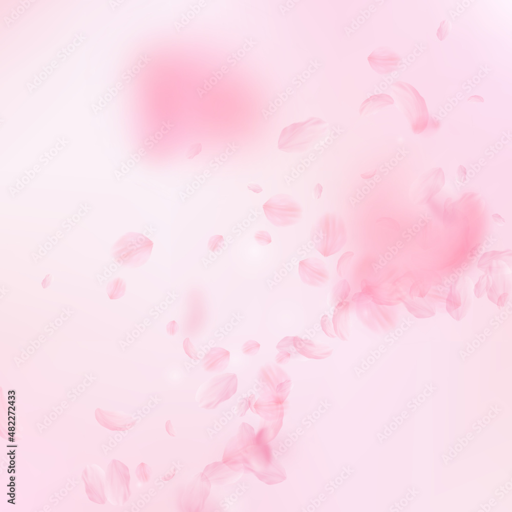 Sakura petals falling down. Romantic pink flowers corner. Flying petals on pink square background. Love, romance concept. Alluring wedding invitation.