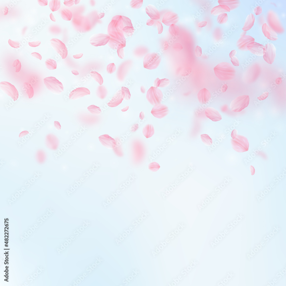 Sakura petals falling down. Romantic pink flowers gradient. Flying petals on blue sky square background. Love, romance concept. Outstanding wedding invitation.
